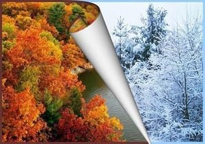 Можно ли клеить обои зимой? Особенности выполнения работ в этот период